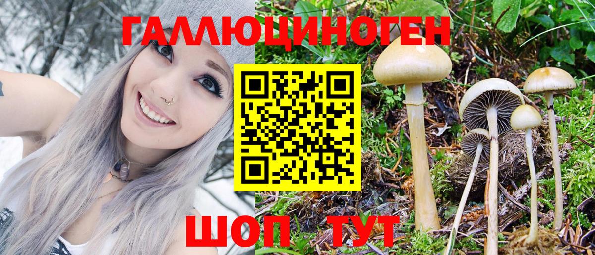 Псилоцибиновые грибы ЛСД Троицк